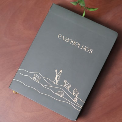 image_22d0f78d-5992-4a53-ab07-5f3e07185a5d