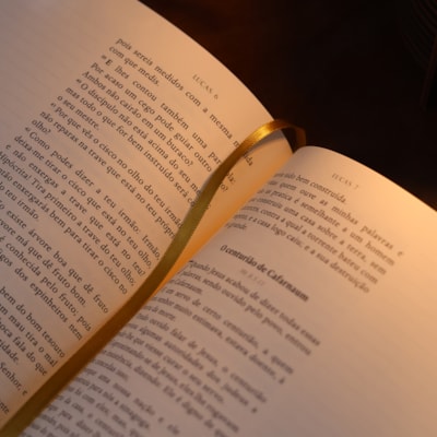 image_164bb621-8484-4a17-b3c5-8691689d0602