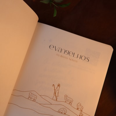 image_c7912009-8b0c-45c2-a874-6a99e2005f16