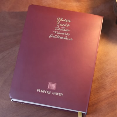 image_61428601-09e6-4f23-addf-2c246c41a42c