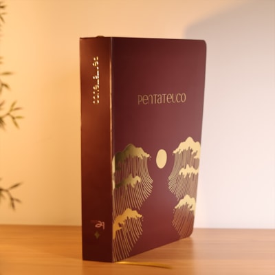 Segunda imagem do produto Bible Journal | Pentateuco