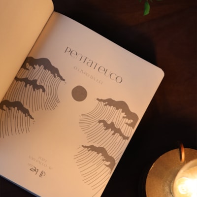 image_17af7fd9-45a0-4e8d-bcfb-a1c0b9274f38