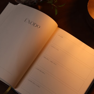 image_e0131df5-9a94-4b64-aa73-c63a9d707e48