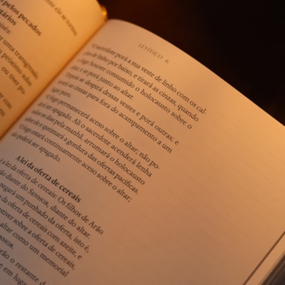 image_602be973-94eb-42a4-9f04-42b5615fbb71