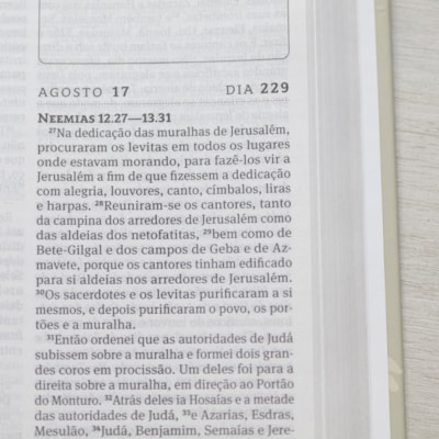 image_437c063c-c0ae-416e-b552-d76caa5799b4