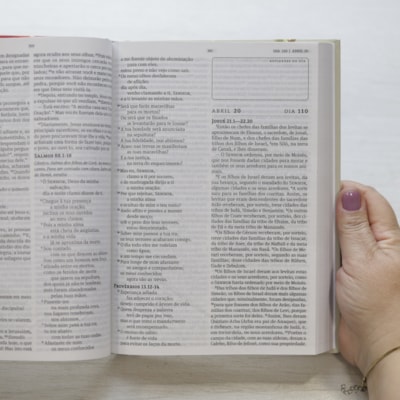 image_d015f0d7-c65b-4044-82c5-622b5ce37cf6