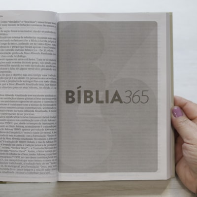 image_428ef94e-2494-4b02-b107-b1631c7a52c0