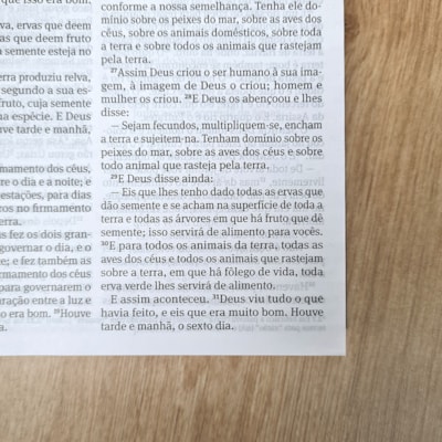 image_9b2c3c5b-2229-4271-ac53-1aac40dde717