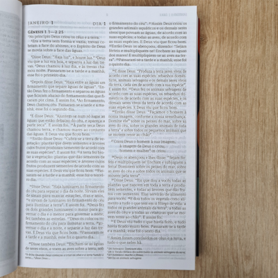 image_af561843-f39f-4fa4-90ef-78386e2425ab