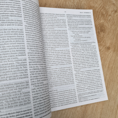 image_e62daedb-f6e4-440a-bea6-70ad46ca9df0