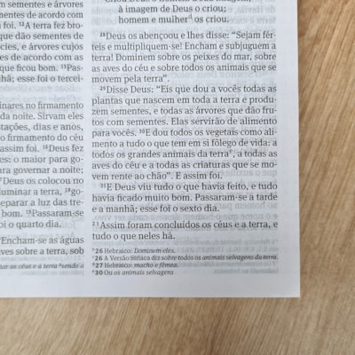 image_d04f748f-3a20-4a6e-89b8-fb4ae53ad7d2