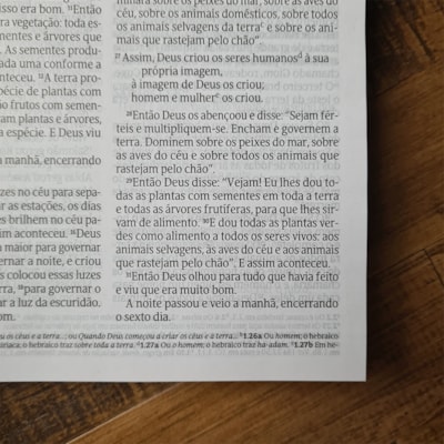 image_b1f1903d-8d97-4da3-9bed-7cf4696d7124