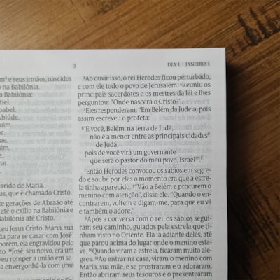 image_c6823c8c-b2e1-4557-b5c6-f5c6da8f504f