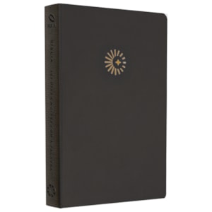 Bíblia 365  Dia e Noite | Letra Normal | NAA | Capa Cinza Luxo