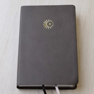 Segunda imagem do produto Bíblia 365  Dia e Noite | Letra Normal | NAA | Capa Cinza Luxo