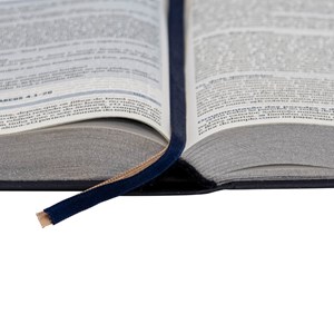 Bíblia 365 Dia e Noite | NAA | Letra Normal | Capa Dura Azul