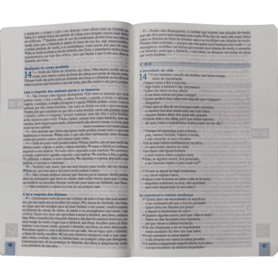 image_78fe698d-cc21-40ad-80a1-949d852899c7