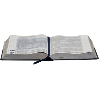 image_b7df28d4-257f-48a2-8cce-bbc4b9b384ab