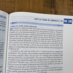 Bíblia 365 Dia e Noite | NAA | Letra Normal | Capa Dura Dias e Noites com a Palavra