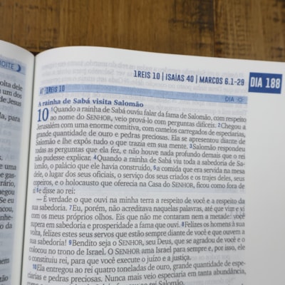 image_e36c6aba-984e-4ab8-986c-61acc0c2dba6