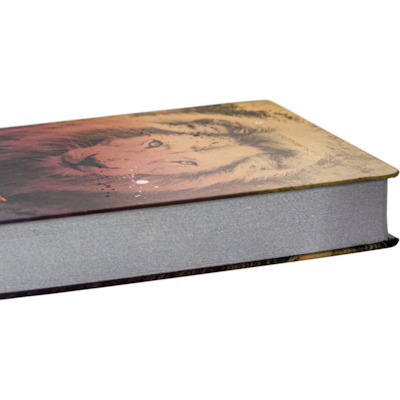 image_64f3a852-12e7-4458-8a96-b0b0d92d7c13