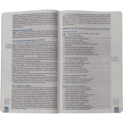 image_8e3ddae2-f3b2-4c43-ba33-4e754d22ee24