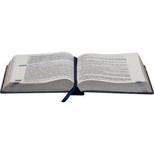 Bíblia 365 Dia e Noite | NAA | Letra Normal | Capa Dura Leão
