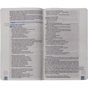 Bíblia 365 Dia e Noite | NAA | Letra Normal | Capa Dura Let