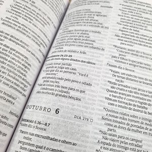Bíblia 365 Espinhos | NVT | Letra Normal | Capa Brochura