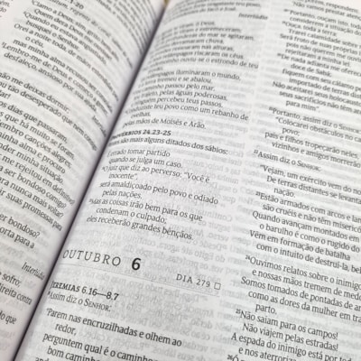 image_7ad4e912-5cf9-4c8e-b85a-dc695c0dbd75