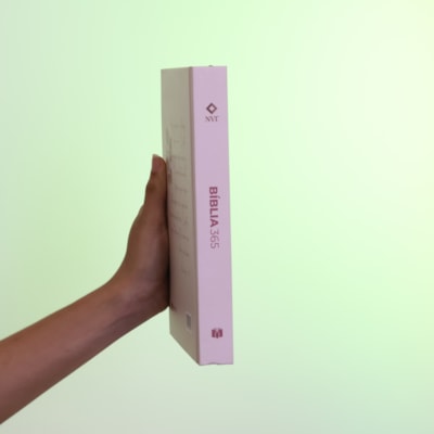 image_c87a648f-a893-4f52-938e-888d15d72e77