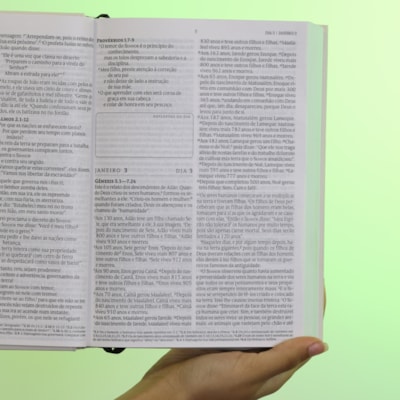 image_3d6c3820-f2cb-4172-ae45-73f96fc01c70