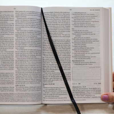 image_4c963bff-b877-4f30-b419-05d2d5ece5ce