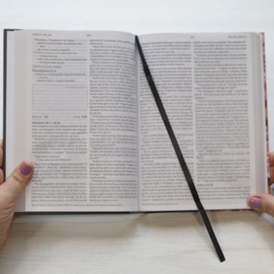 image_21c86033-d1e6-402e-9a15-f00f2fca7474