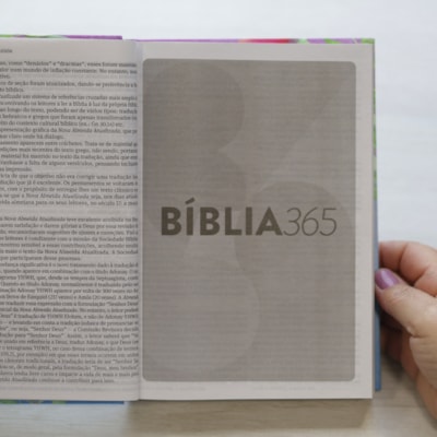 image_9d51ca66-dd13-4914-89b9-193f5bd6ae47