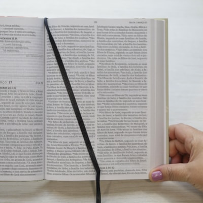 image_71ea5985-fdad-49df-ad07-77acd4a19516