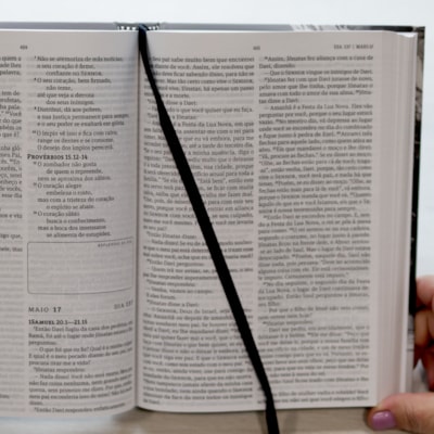 image_d9e5c417-d79e-483f-8570-456461a4891c