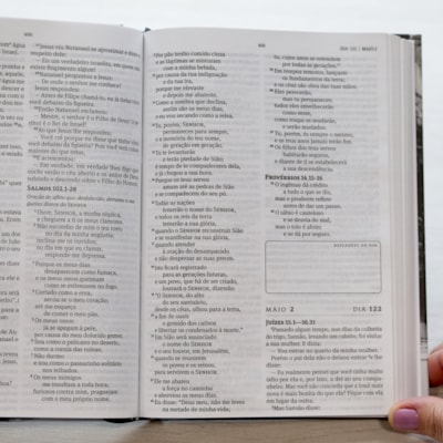 image_22ac04b3-f3f8-478b-b100-aee5481bb4a3