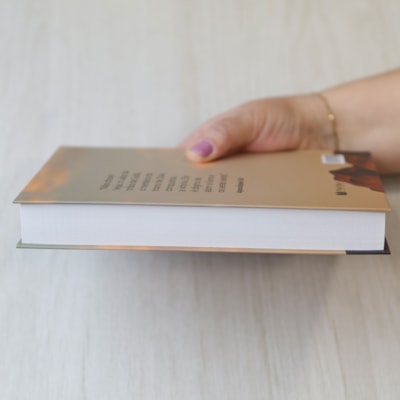 image_08e4ce68-b287-47b7-824f-9f4be8aab4bf