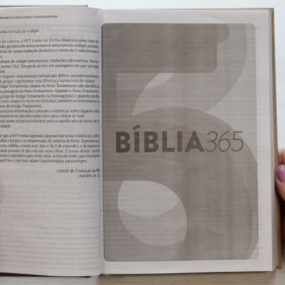 image_df4d4943-f7a2-440a-9f8c-c2c5fe1a098e