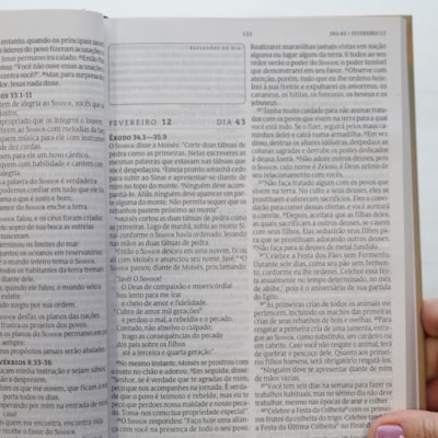 image_80b04364-3777-47fd-8734-d780875ed9ad