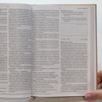 image_8ae81b09-cfae-464e-8b43-6886cc99a1cb