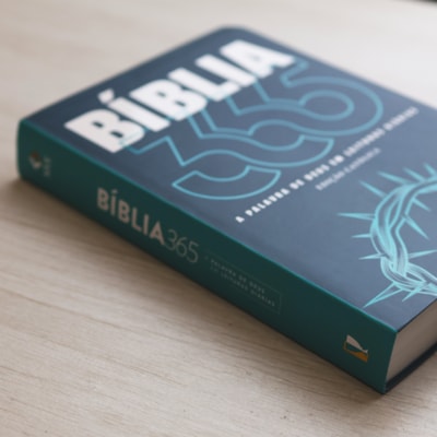 image_31092ed0-9ae3-41e9-a30a-1c339c186ae0