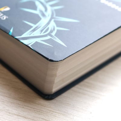 image_ccb9277a-1d9e-44ff-b638-51d78a4c8cd9