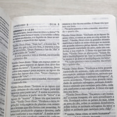 image_4a513284-3e2f-4d04-a884-afe68ac63cb4