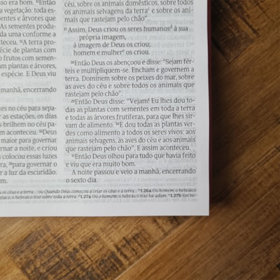 image_ef8da76f-c9dd-4b21-823c-d03e2e03488a