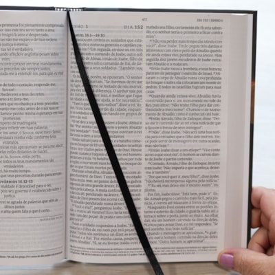 image_e2ad1314-1888-423b-ad24-94a2d9bf108a