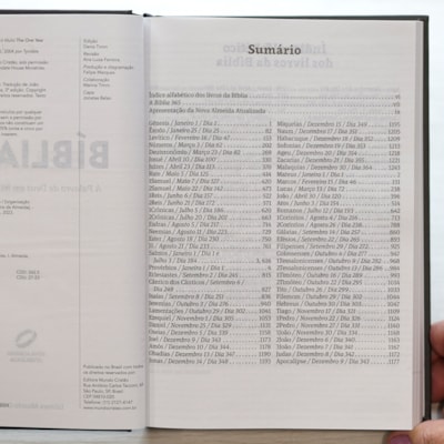 image_e999bb03-1e27-4880-a9d5-f53172486063