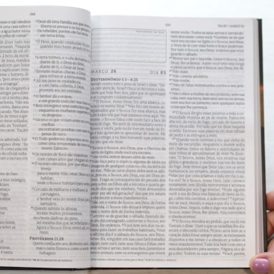 image_8ee83bdc-dbee-4f9e-9df0-0d37db43726e