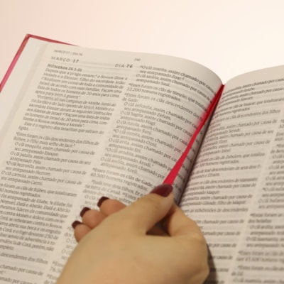 image_a3f7ffd1-ad09-4627-9193-b36c56514bf5